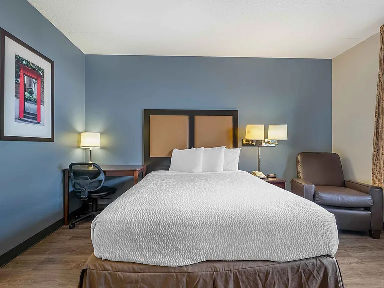 Studio Suite - 1 Queen Bed