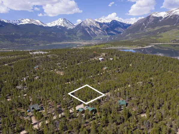 776 Peak View Dr, Twin Lakes, CO 81251