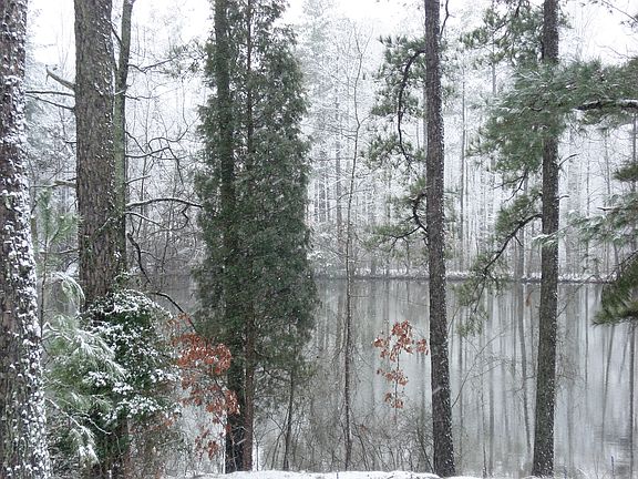 Pond in Winter
