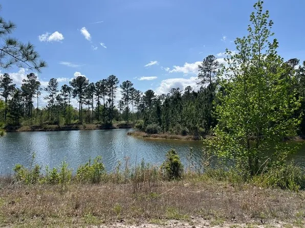 324 Salt Creek Way E, Brunswick, GA 31523