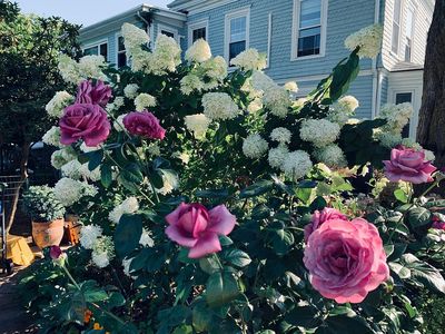 5 Lake Ave, Amesbury, MA, 01913