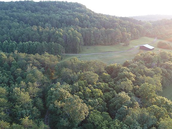 Aerial view of trees & barn