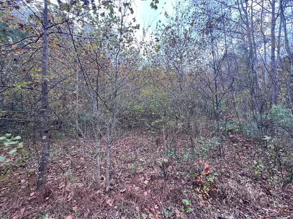 99999 Highway 317 #Rockhouse, Neon, KY 41840