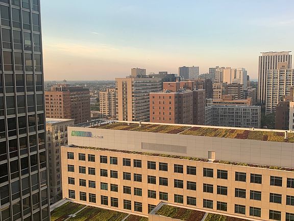 5th image of 330 W Diversey Pkwy APT 2206
