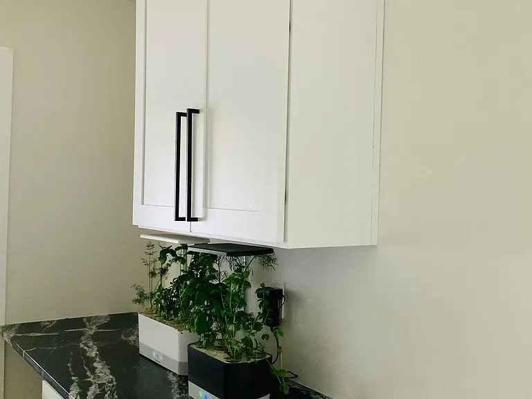 4605 Bryan Ave NW — Photo 16
