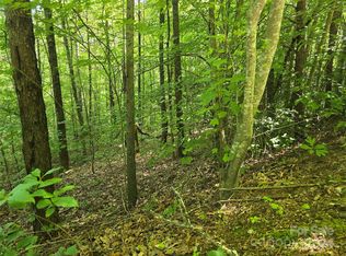 9999 Judith Dr #10, Leicester, NC 28748