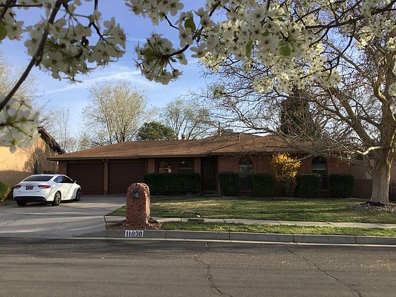 LG grass front yard with a LG shade tree