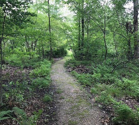winding path to the river