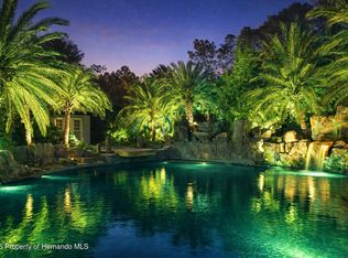 9027 Mavis Rd, Weeki Wachee, FL 34613