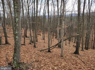 Russeldale Rd, Purgitsville, WV 26852