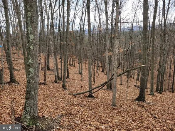 Russeldale Rd, Purgitsville, WV 26852