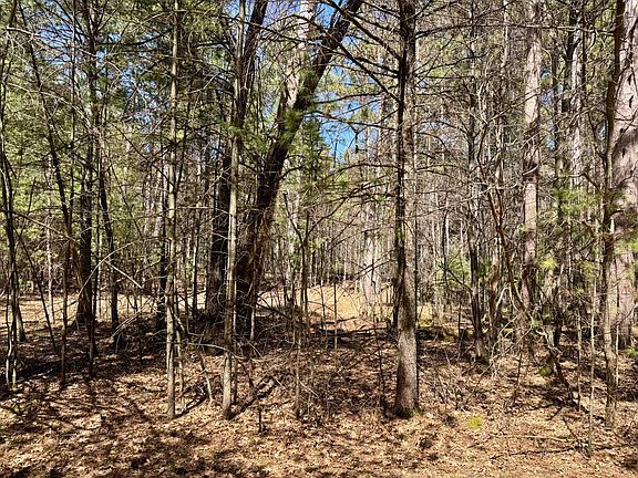 4th image of 9276 Black Pine Ln
