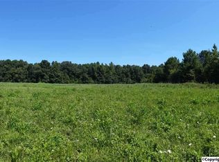 3901 County Road 343, Mount Hope, AL 35651