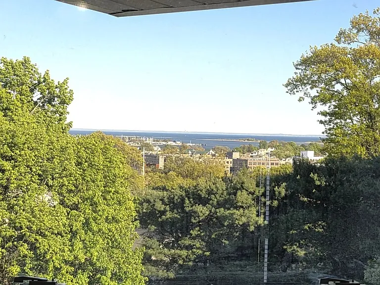 View From Master Bedroom