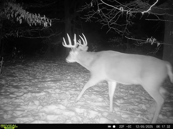 294th St, Sebeka, MN 56477