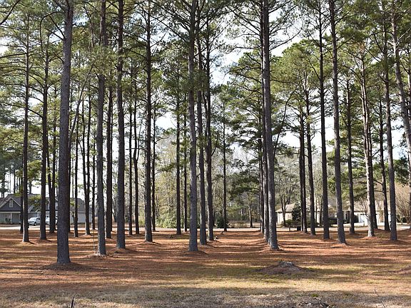 4th image of 400 Pinelake Ct