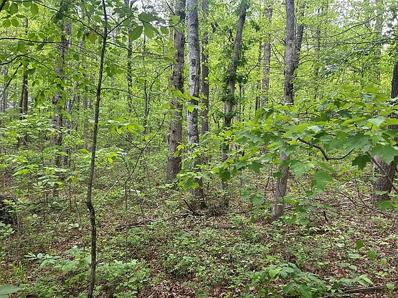 2nd image of Route Davis Rd #0