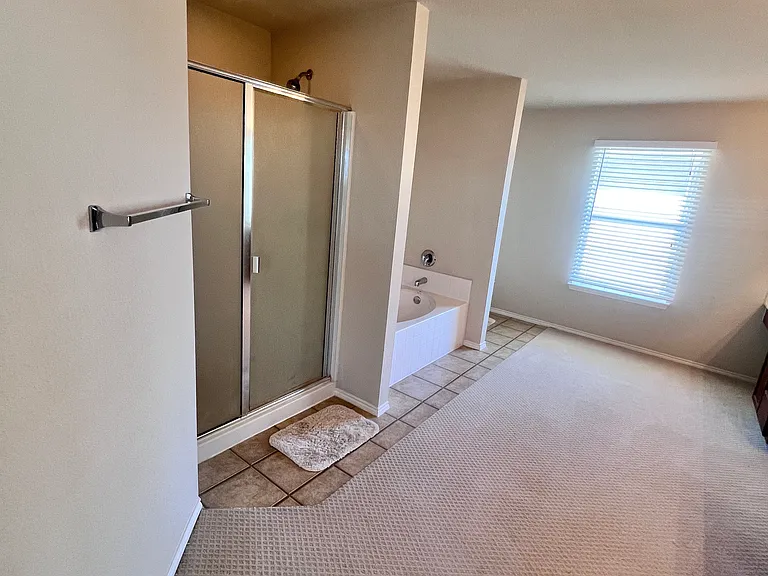 Master bathroom from entry