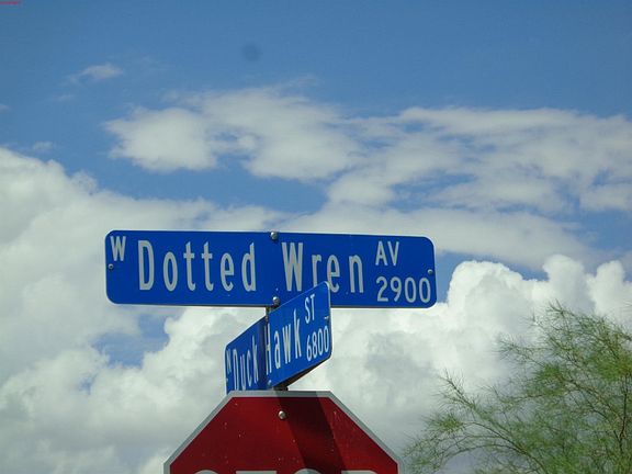 5th image of 2816 Dotted Wren Ave