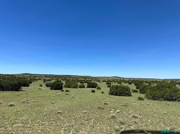 92 Northern Rd, Quemado, NM 87829