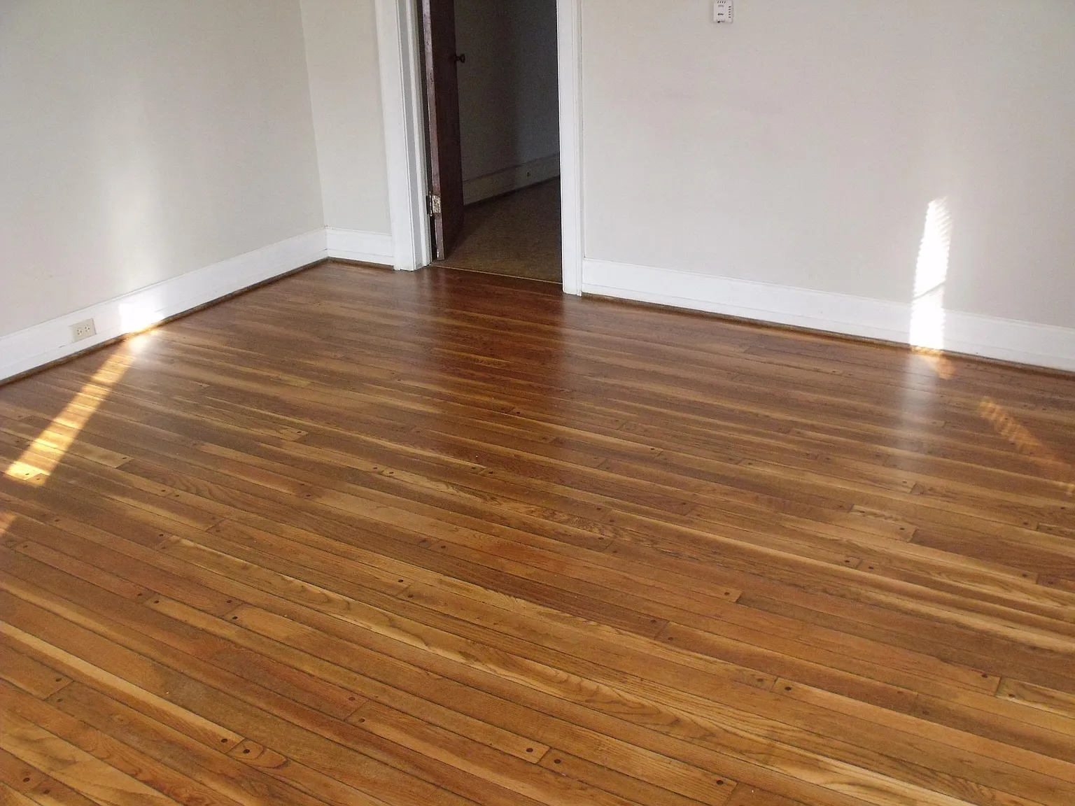 1 bed, 800 sqft, $895 — Photo 2