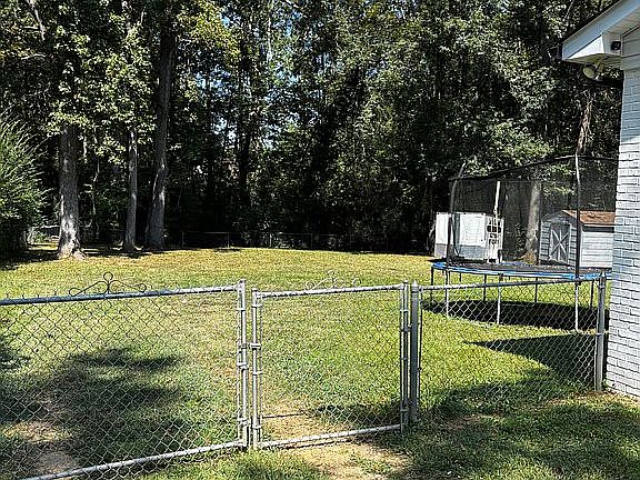Fenced in back yard.