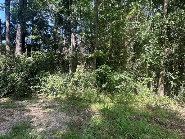 LOT 1 County Road 38, Notasulga, AL 36866