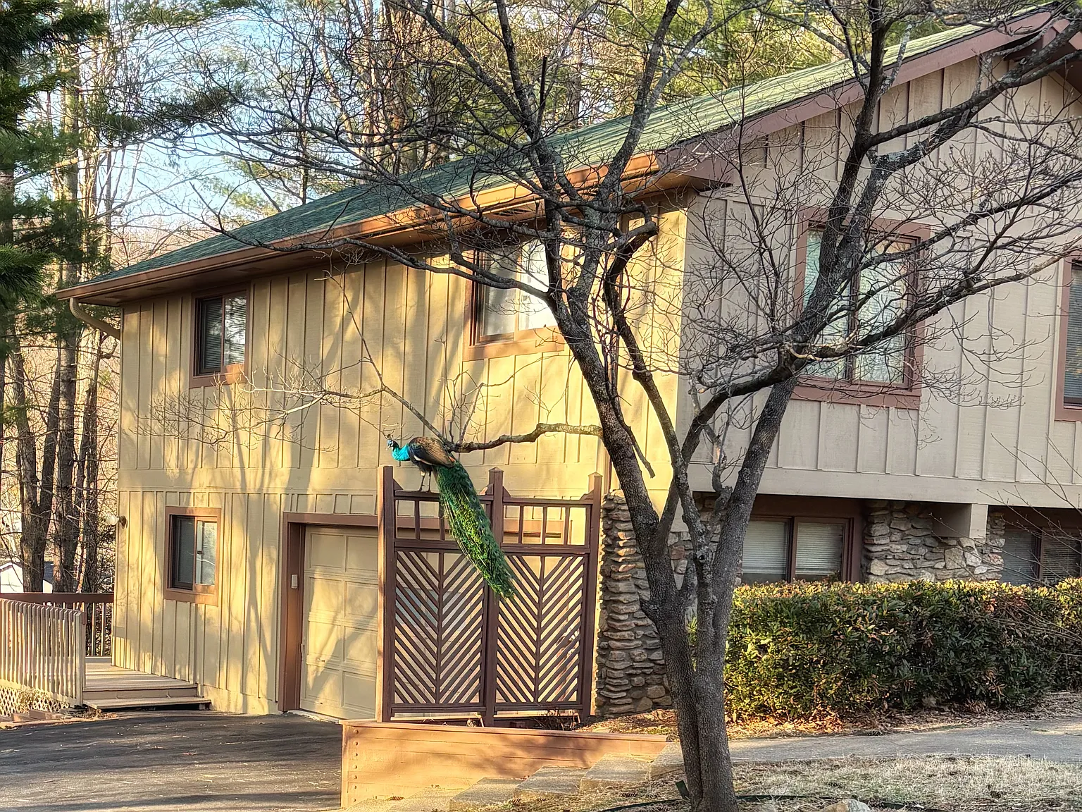 4 bed, 2197 sqft, $2,950 — Photo 4