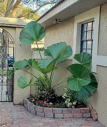 3rd image of 7702 Sundial Ln
