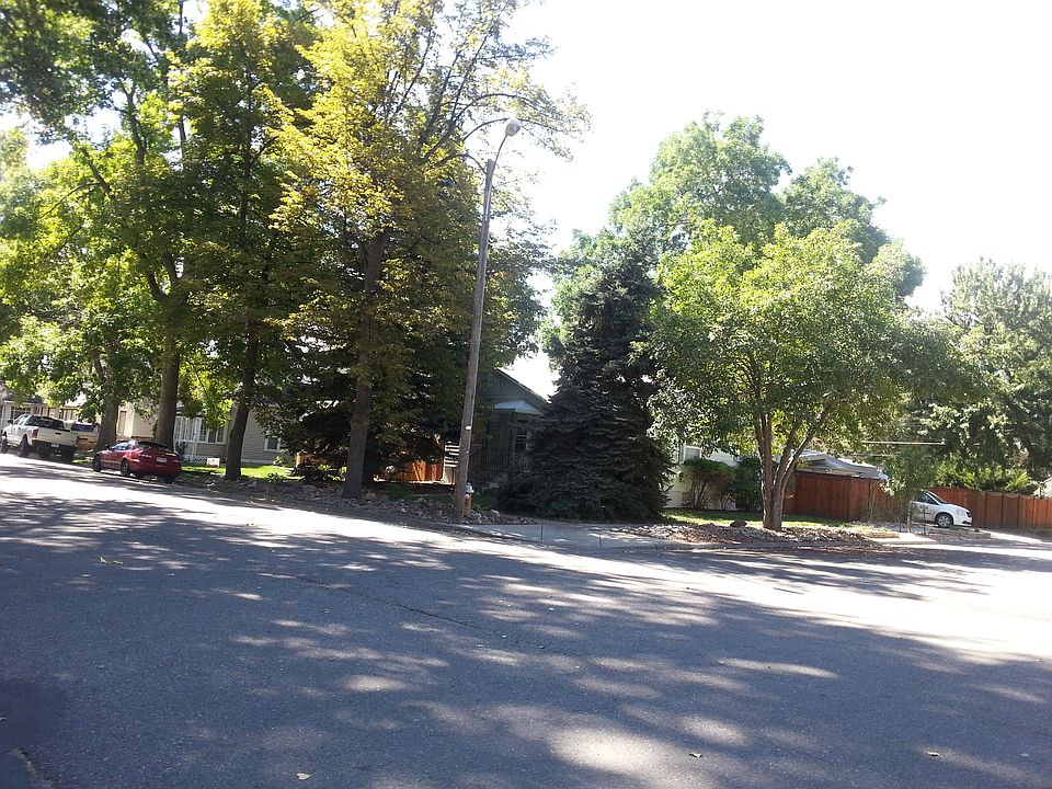 Mature Landscaping
