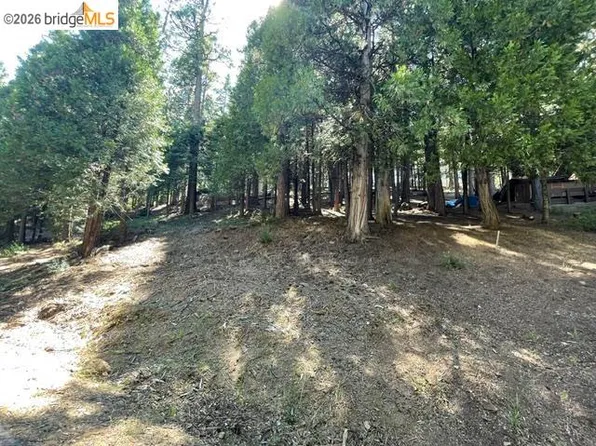 PARCEL 34 Sno Bowl Rd, Mi Wuk Village, CA 95346