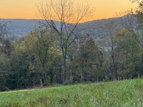 418 Wilson Ln, Leslie, AR 72645