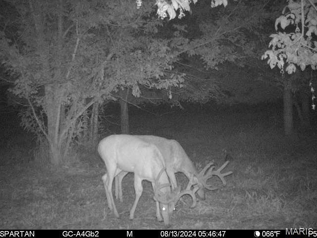 2nd image of 22 Hematite Farms Rd