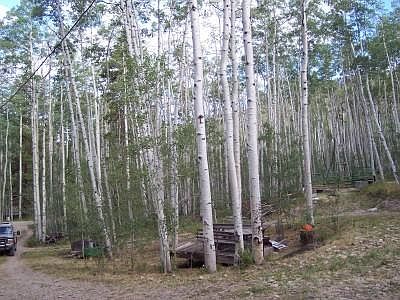 2nd image of 1763 Monument Road