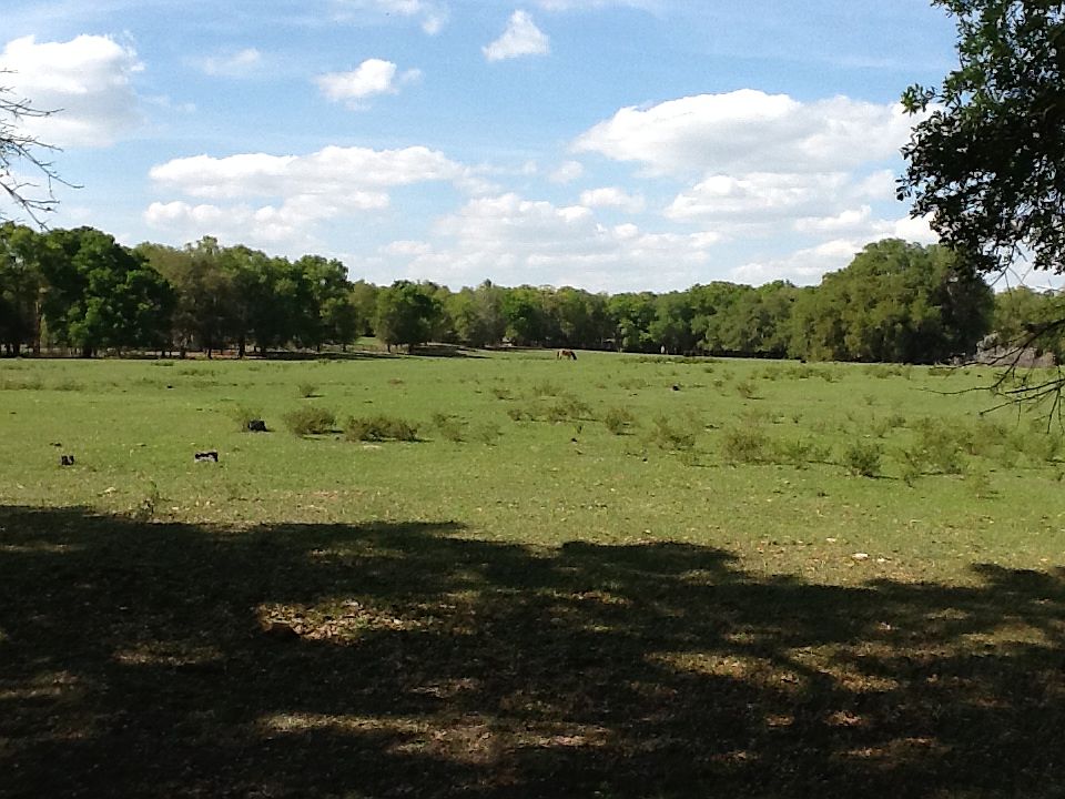 2nd image of 0 SE 150 St