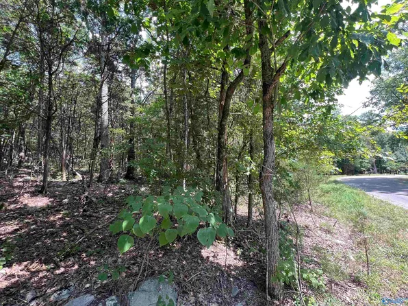 Korgan Ave E, Laceys Spring, AL 35754