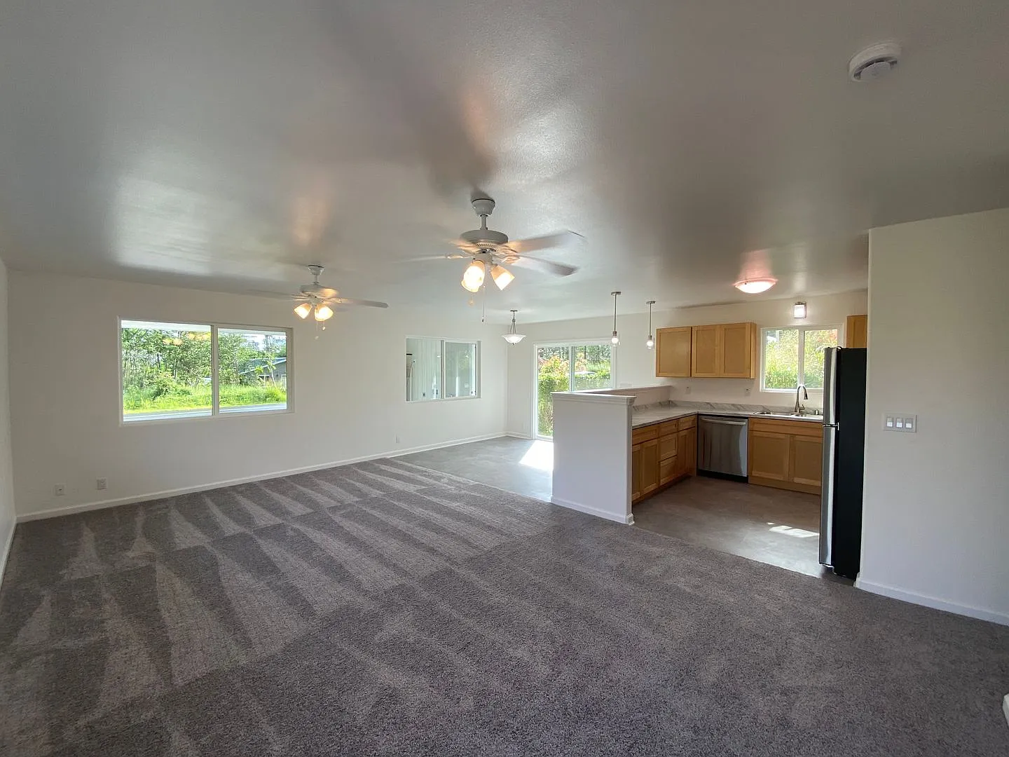 Brand New 3-Bedroom, 2-Bath Home in Ainaloa — Photo 3