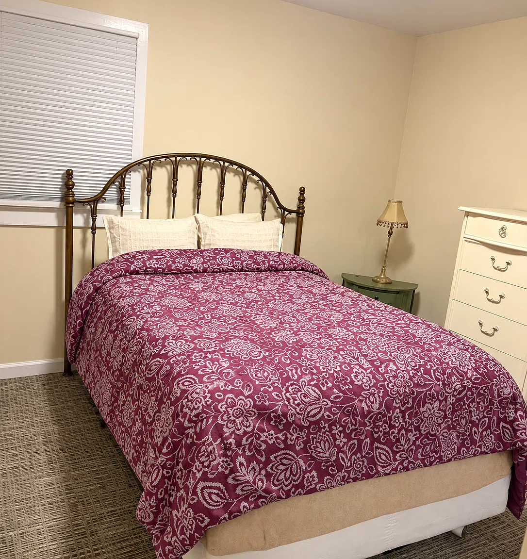 1 bed, 500 sqft, $1,900 — Photo 4