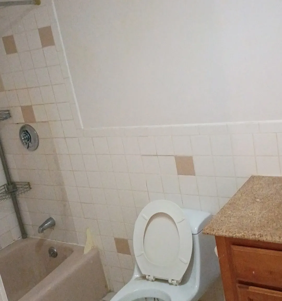 1 bed, 549 sqft, $1,650 — Photo 4