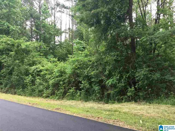 152 Southern St, Vincent, AL 35178