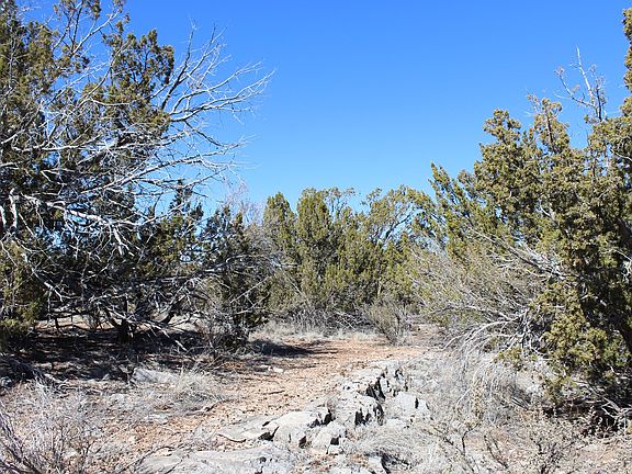 4th image of 56596 N Bridge Canyon Pkwy