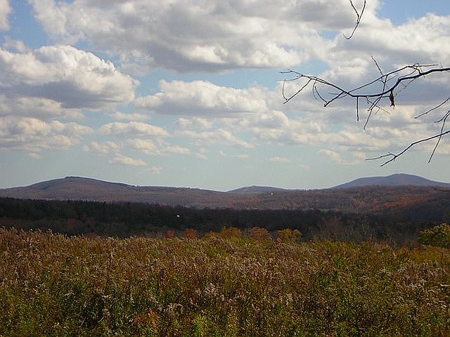 5.10 Acres of Beauty!