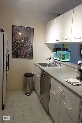 Rented by Brown Harris Stevens | media 4