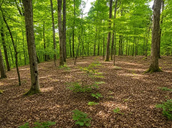0 Maple Grove Rd Lot 1, Dickson, TN 37055