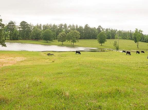 2nd image of 265 County Road 4626