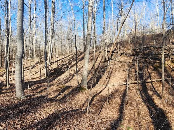 Id08 Shady Grove Rd, Holladay, TN 38341