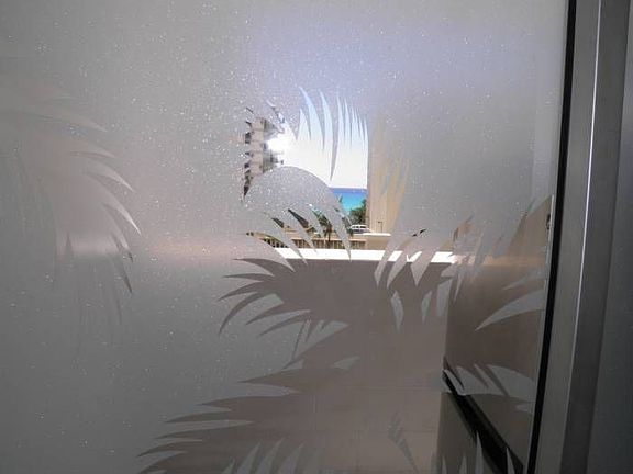Frosted lanai door