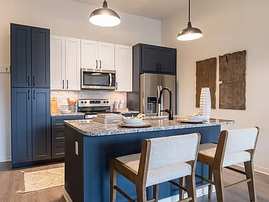 Chip, 1 bed x 1 bath, 735 sq. ft.