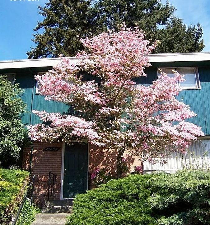 1st image of 14004 Greenwood Ave N