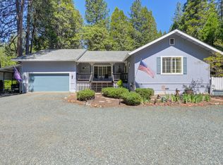 20000 Circle View Dr, Pioneer, CA 95666